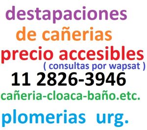images (5) (1)